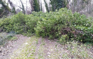 sortie VTT musculaire du 27 Février