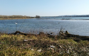 sortie VTT musculaire du 6 Mars