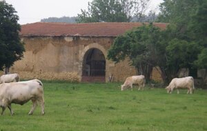 Sortie du 23 Mai 2023