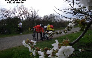 Sortie du 25 Mars 2025