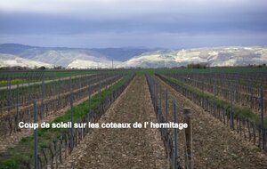 Sortie du 29 Mars 2025