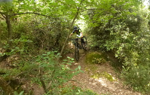 Sortie du 28 Mai 2025