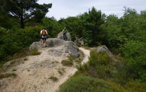 Sortie du 28 Mai 2025