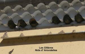 Sortie du 24 Juin 2025