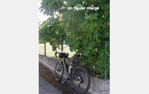 Sortie du22 Juillet 2025