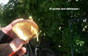 Sortie du22 Juillet 2025