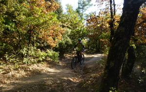 Sortie du 18 Août 2025