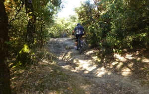 Sortie du 18 Août 2025