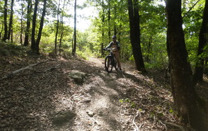 Sortie du 25 Août 2025