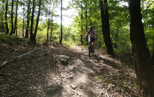 Sortie du 25 Août 2025