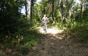 Sortie du 25 Août 2025