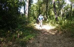 Sortie du 25 Août 2025