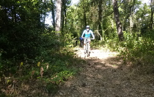 Sortie du 25 Août 2025