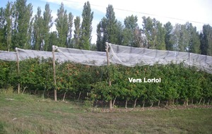 Sortie du 2 Sept 2025