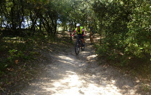 Sortie du 17 Sept 2025