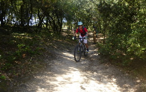 Sortie du 17 Sept 2025