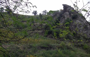 Sortie du 14 oct 2025