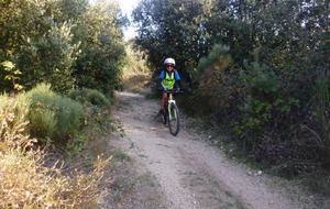 Sortie du 15 Oct 2025