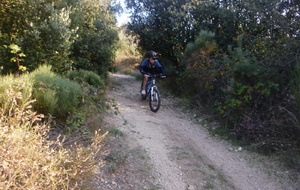 Sortie du 15 Oct 2025