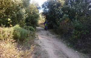 Sortie du 15 Oct 2025