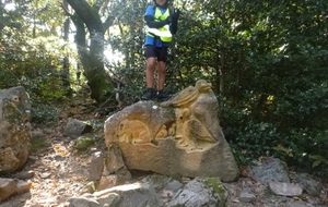 Sortie du 15 Oct 2025