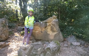 Sortie du 15 Oct 2025