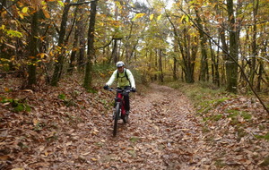 Sortie du 3 Nov 2025