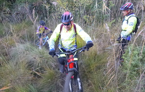 Sortie du 5 Novembre 2025