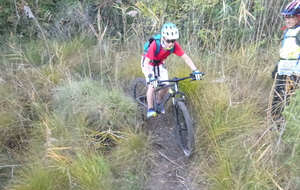 Sortie du 5 Novembre 2025