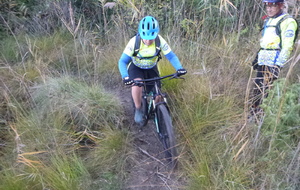 Sortie du 5 Novembre 2025