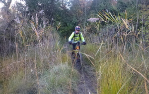 Sortie du 5 Novembre 2025