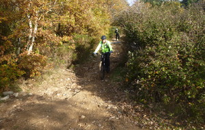 Sortie du 10 Nov 2025