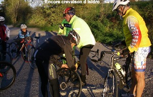 Sortie du 11 Nov 2025