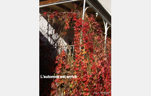 Sortie du 4 Nov 2025