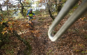 Sortie du 19 Nov 2025