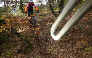 Sortie du 19 Nov 2025