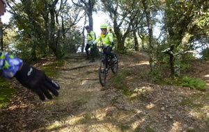 Sortie du 19 Nov 2025