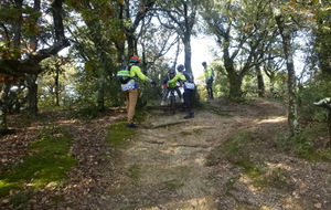 Sortie du 19 Nov 2025