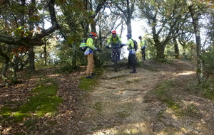 Sortie du 19 Nov 2025