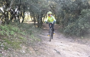 Sortie du 19 Nov 2025