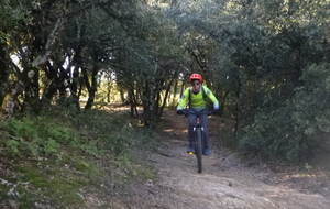 Sortie du 19 Nov 2025