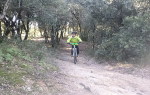 Sortie du 19 Nov 2025