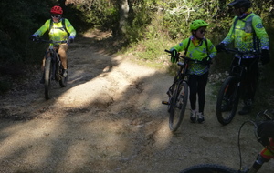 Sortie du 19 Nov 2025