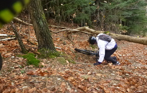 Sortie du 1er Décembre 2025