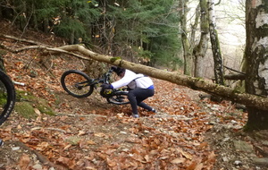 Sortie du 1er Décembre 2025