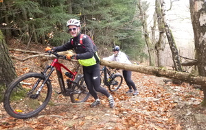 Sortie du 1er Décembre 2025