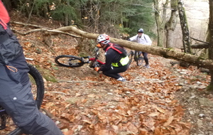 Sortie du 1er Décembre 2025