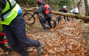 Sortie du 1er Décembre 2025