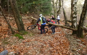 Sortie du 1er Décembre 2025