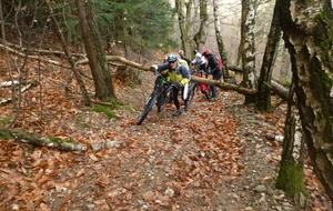 Sortie du 1er Décembre 2025